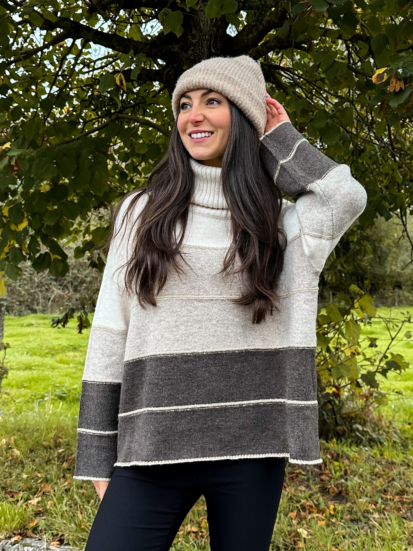 Pull rayures marron
